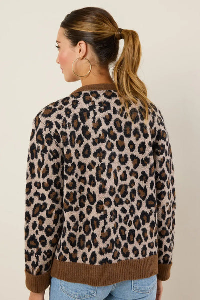 Leopard Pattern Knit Cardigan Sweater
