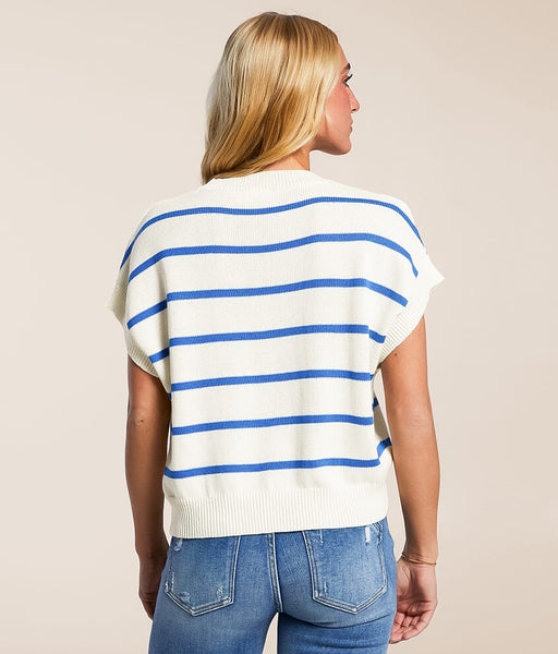 Stripe Crew Neck Knit Top Blue
