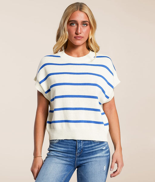 Stripe Crew Neck Knit Top Blue