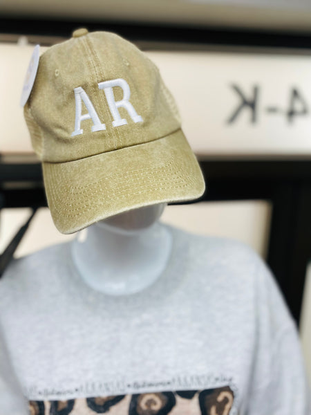 Embroidered AR Mesh Hat